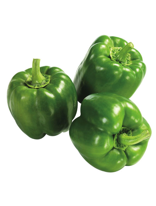 Bell Pepper (Shimla Mirch) - Sunny View Seeds | Buy Seeds, Bulbs ...