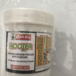 Rooting hormone powder