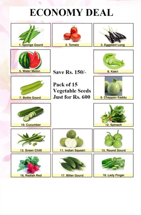 Vegetables Deal