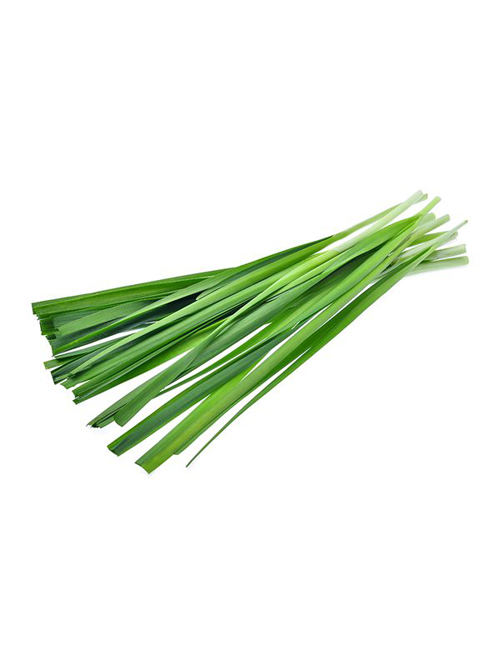 Garlic Chives